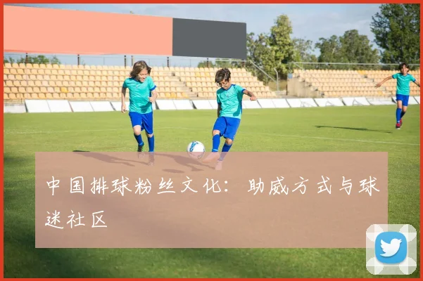中国排球粉丝文化：助威方式与球迷社区