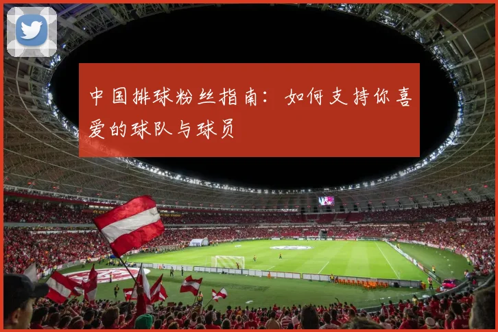 中国排球粉丝指南：如何支持你喜爱的球队与球员