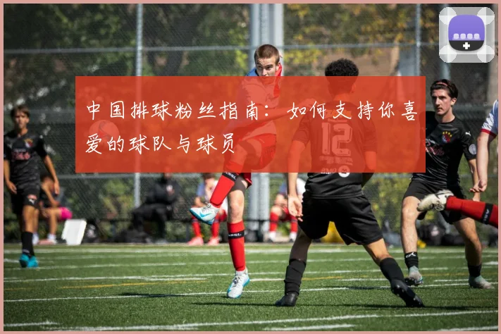 中国排球粉丝指南：如何支持你喜爱的球队与球员